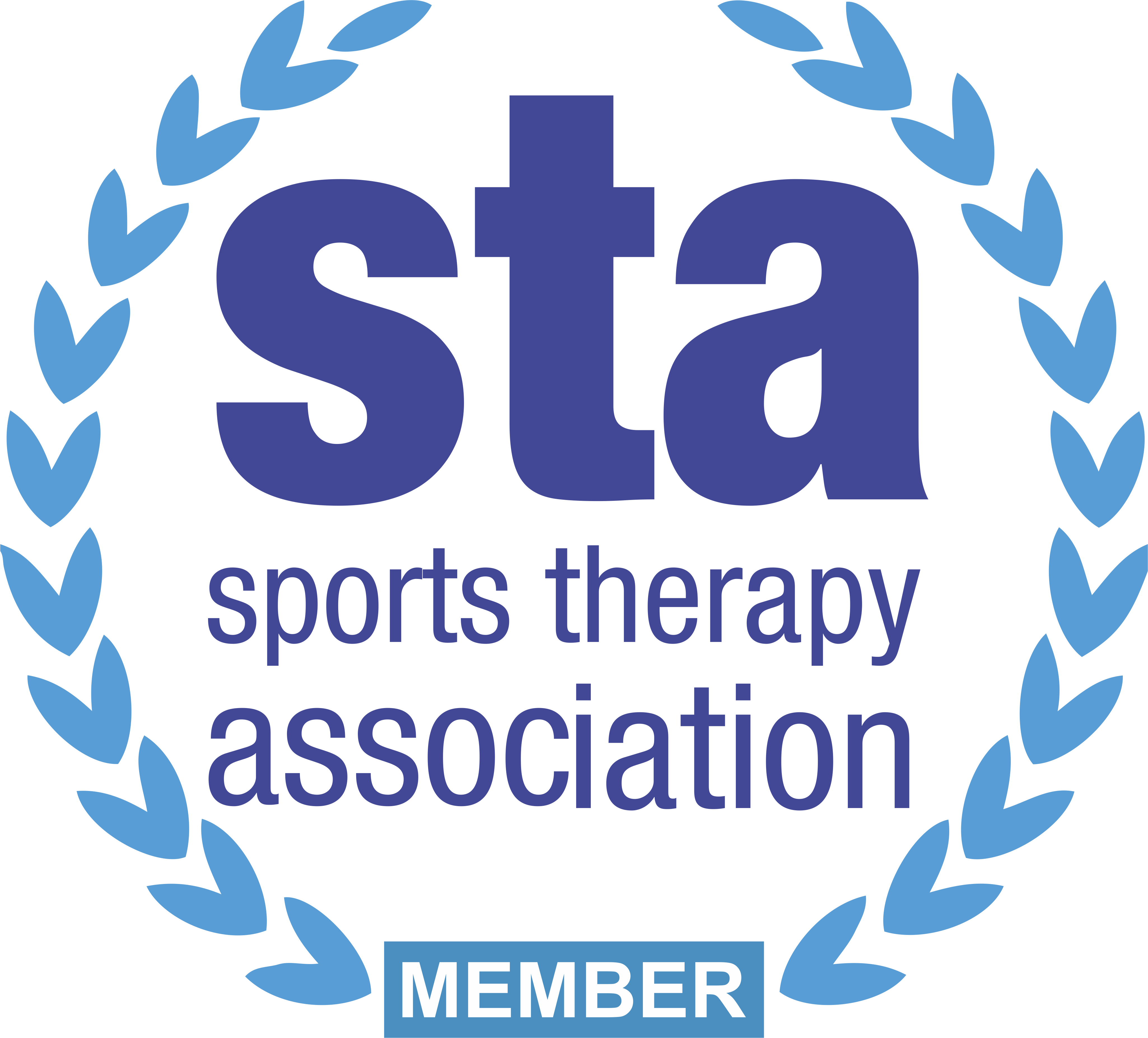 The STA Logo